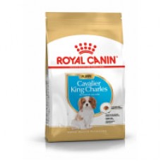 Royal Canin Cavalier King Charles puppy 1.5kg